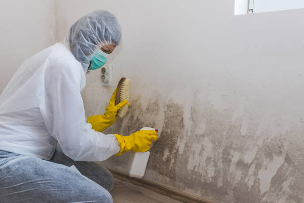 Best Mold Testing  in Columbus, IN