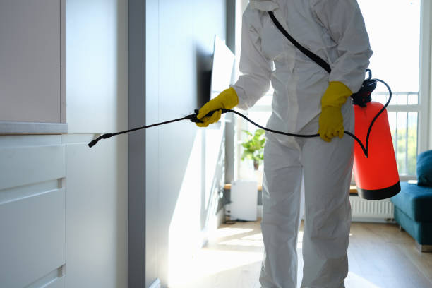Mold Removal Process in Columbus, IN