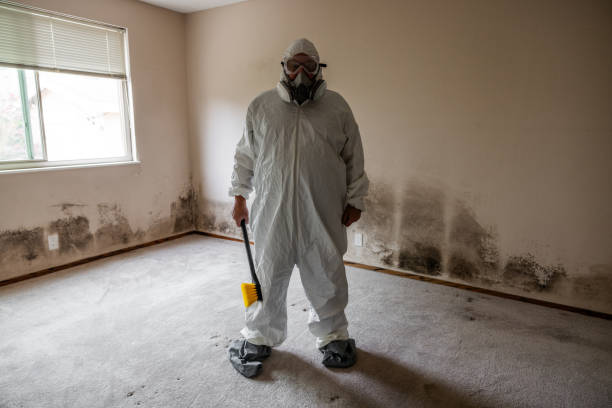 Best Office Mold Removal Services  in Columbus, IN